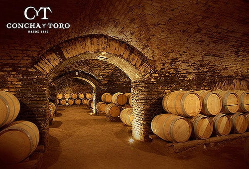 Tour Concha y Toro