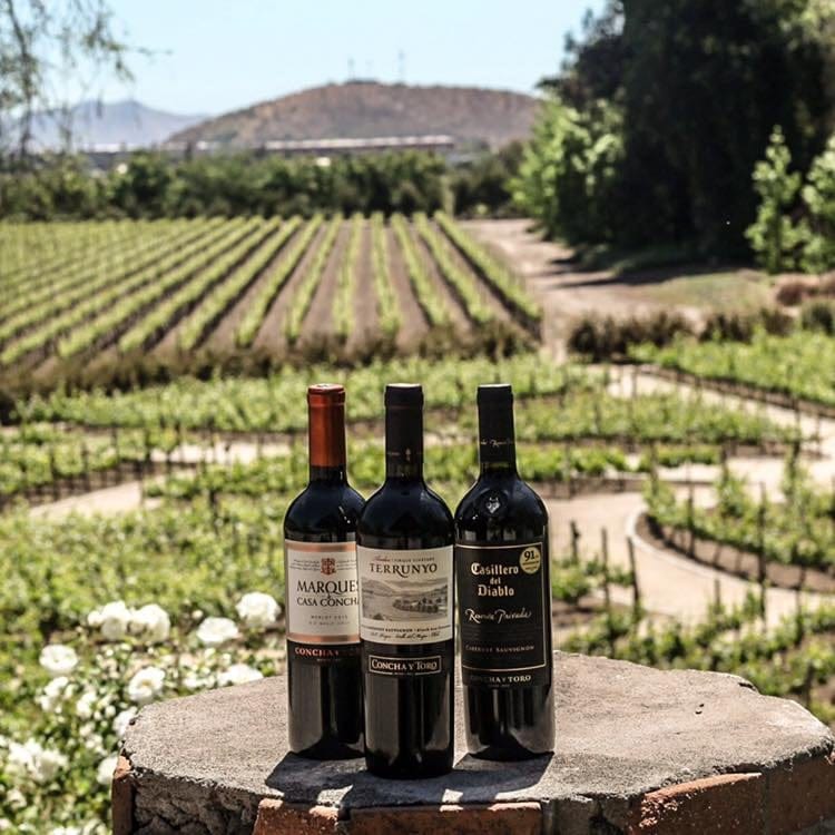 Tour Concha y Toro